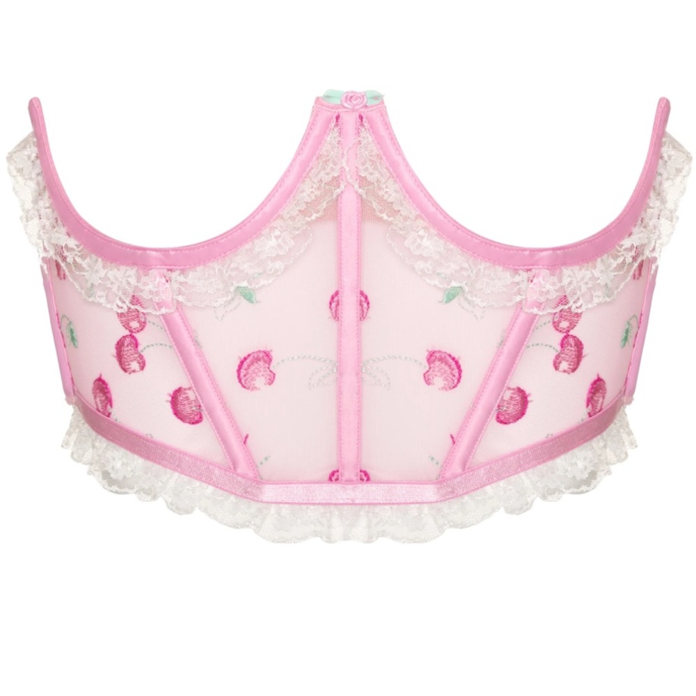For Love and Lemons Sweet Cherry Corset
